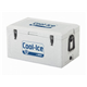 WAECO Cool-Ice WCI-42
